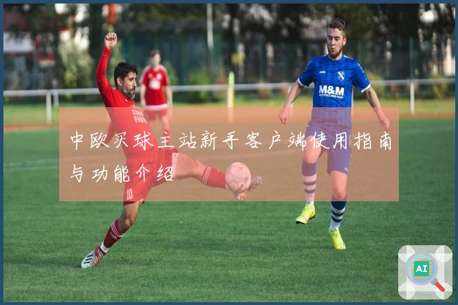 中欧买球主站新手客户端使用指南与功能介绍
