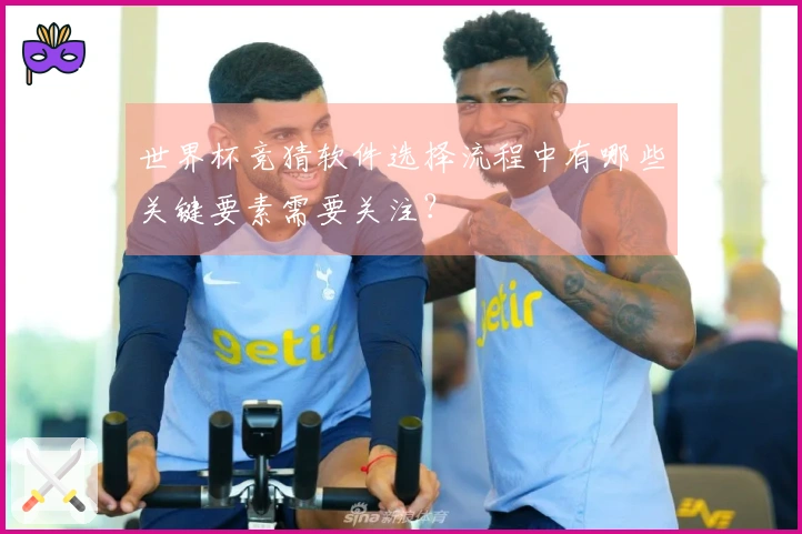 世界杯竞猜软件选择流程中有哪些关键要素需要关注？