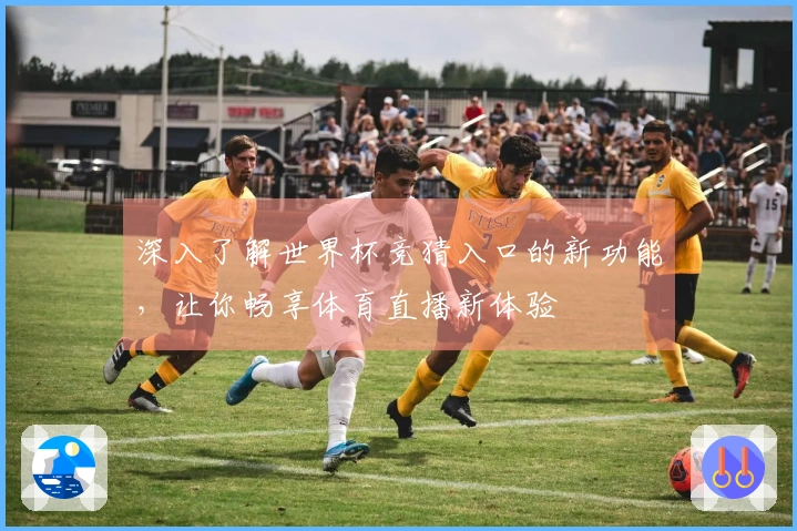 深入了解世界杯竞猜入口的新功能，让你畅享体育直播新体验