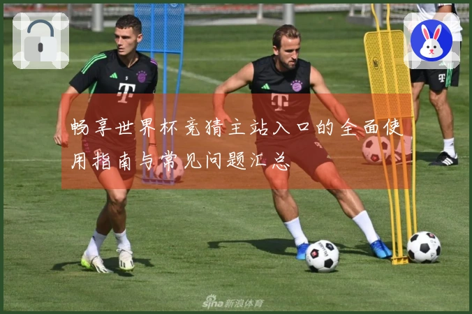 畅享世界杯竞猜主站入口的全面使用指南与常见问题汇总