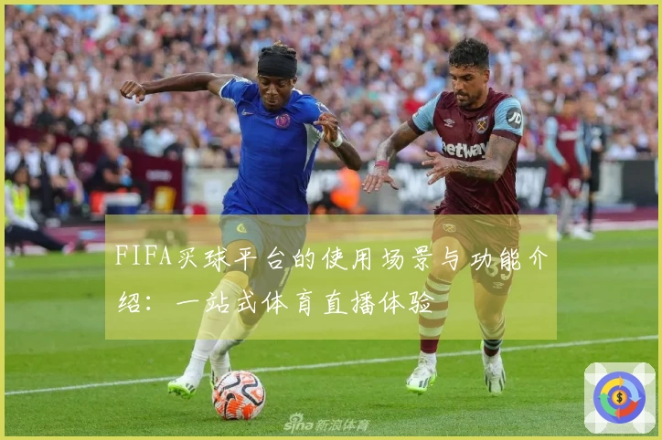 FIFA买球平台的使用场景与功能介绍：一站式体育直播体验