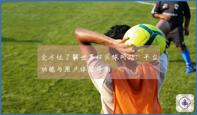 全方位了解世界杯买球网站：平台功能与用户体验评测